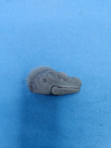 Philippine Sailfin Lizard Head