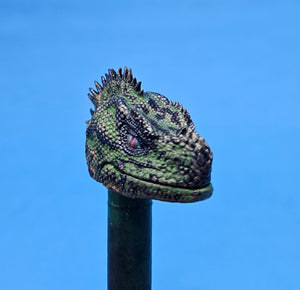 Philippine Sailfin Lizard Head