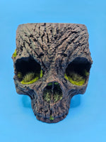 Load image into Gallery viewer, 4 Inch Bark Skull Pot Holder Painted
