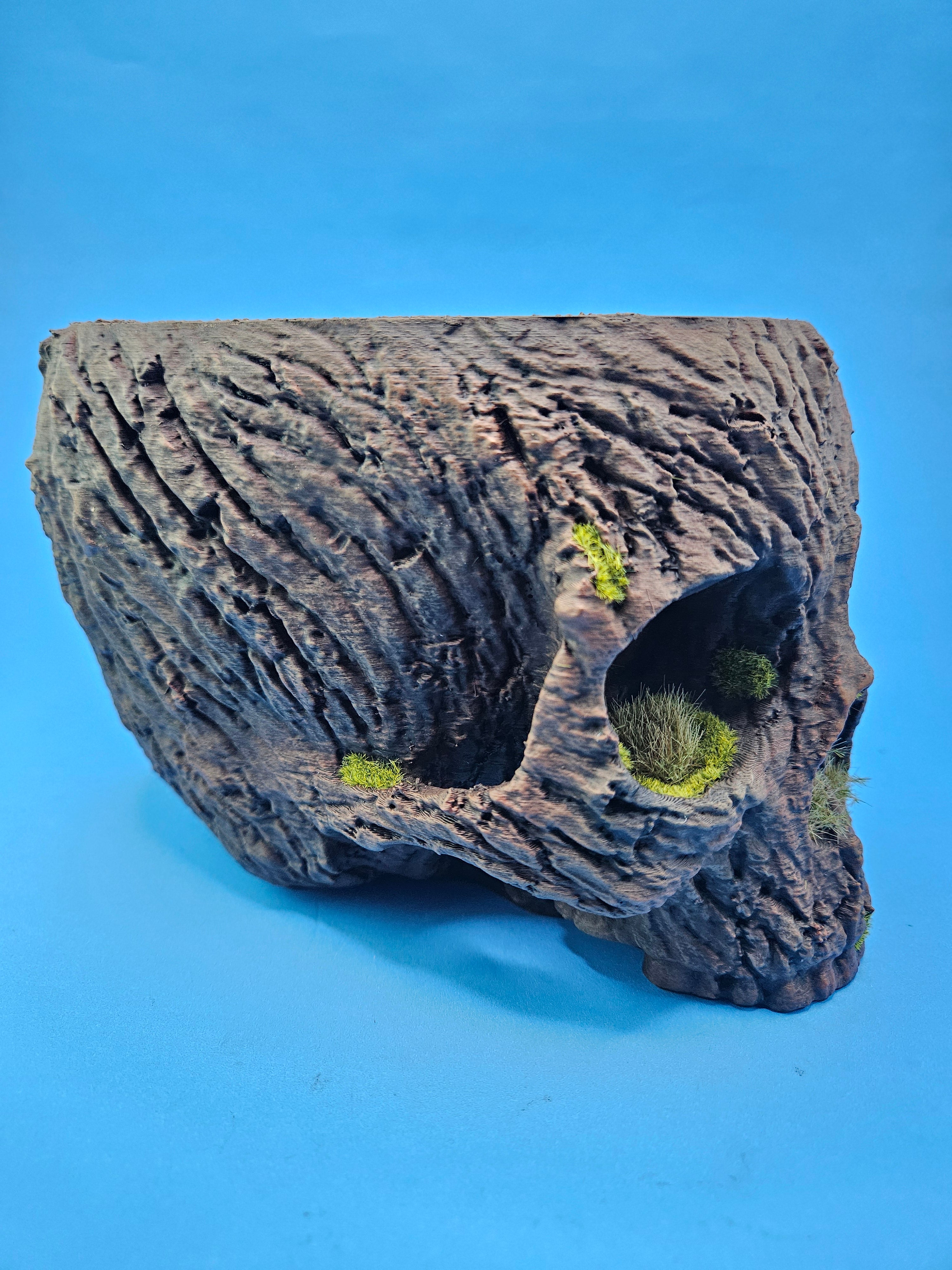 4 Inch Bark Skull Pot Holder Painted