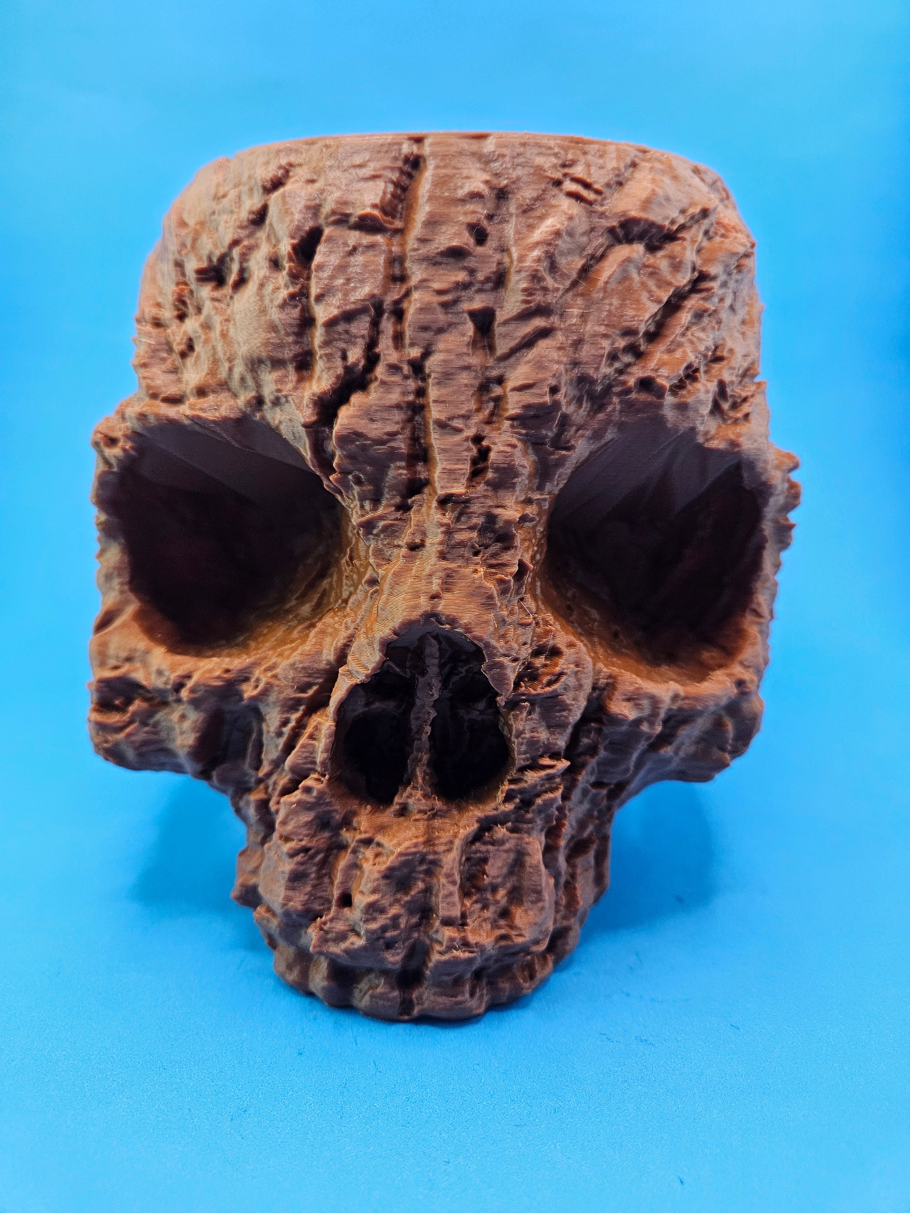 5 Inch Bark Skull Pot Holder