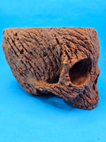 Load image into Gallery viewer, 4 Inch Bark Skull Pot Holder
