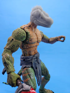 Philippine Sailfin Lizard Head