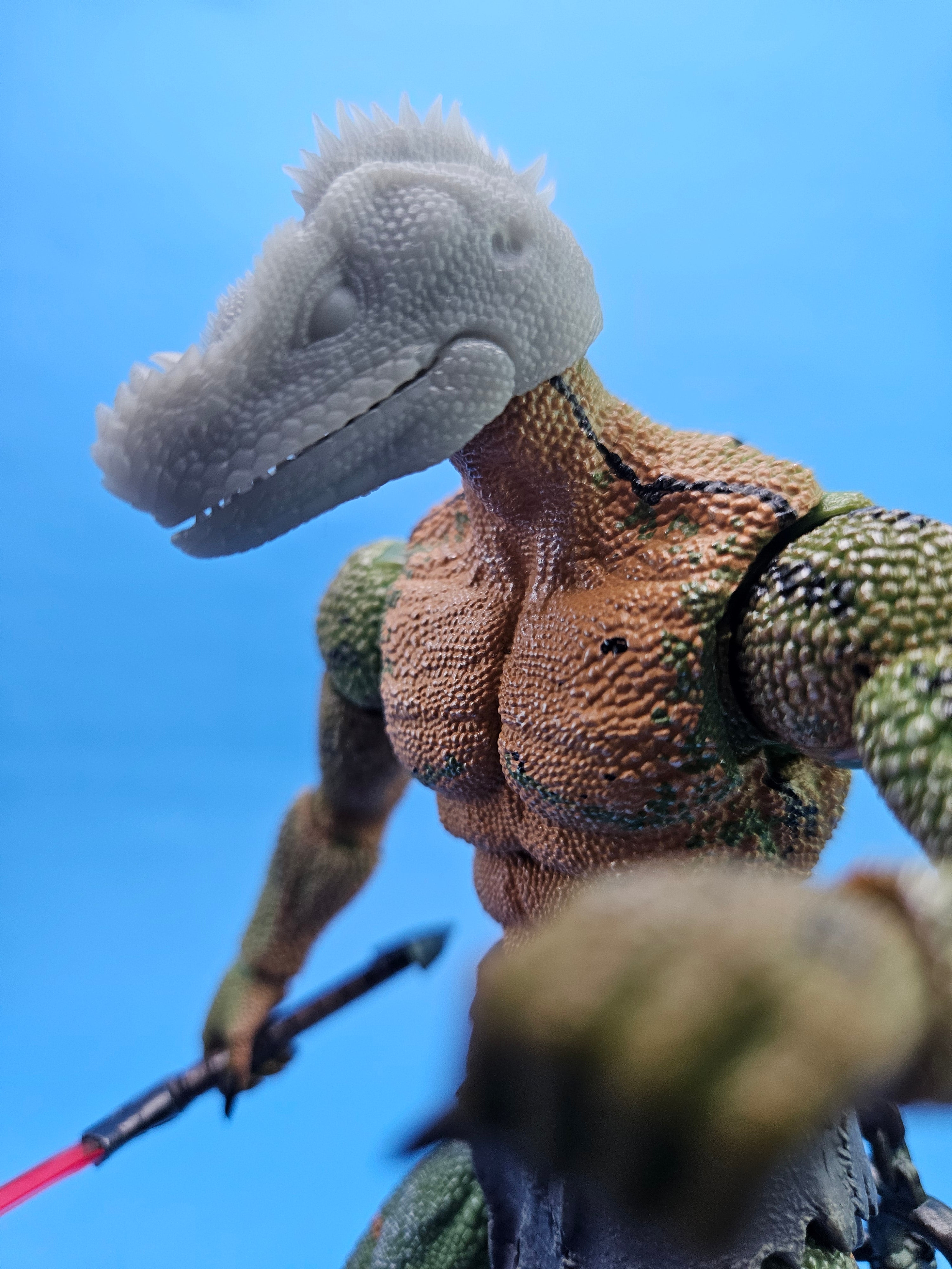 Philippine Sailfin Lizard Head