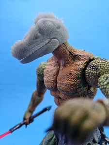 Philippine Sailfin Lizard Head
