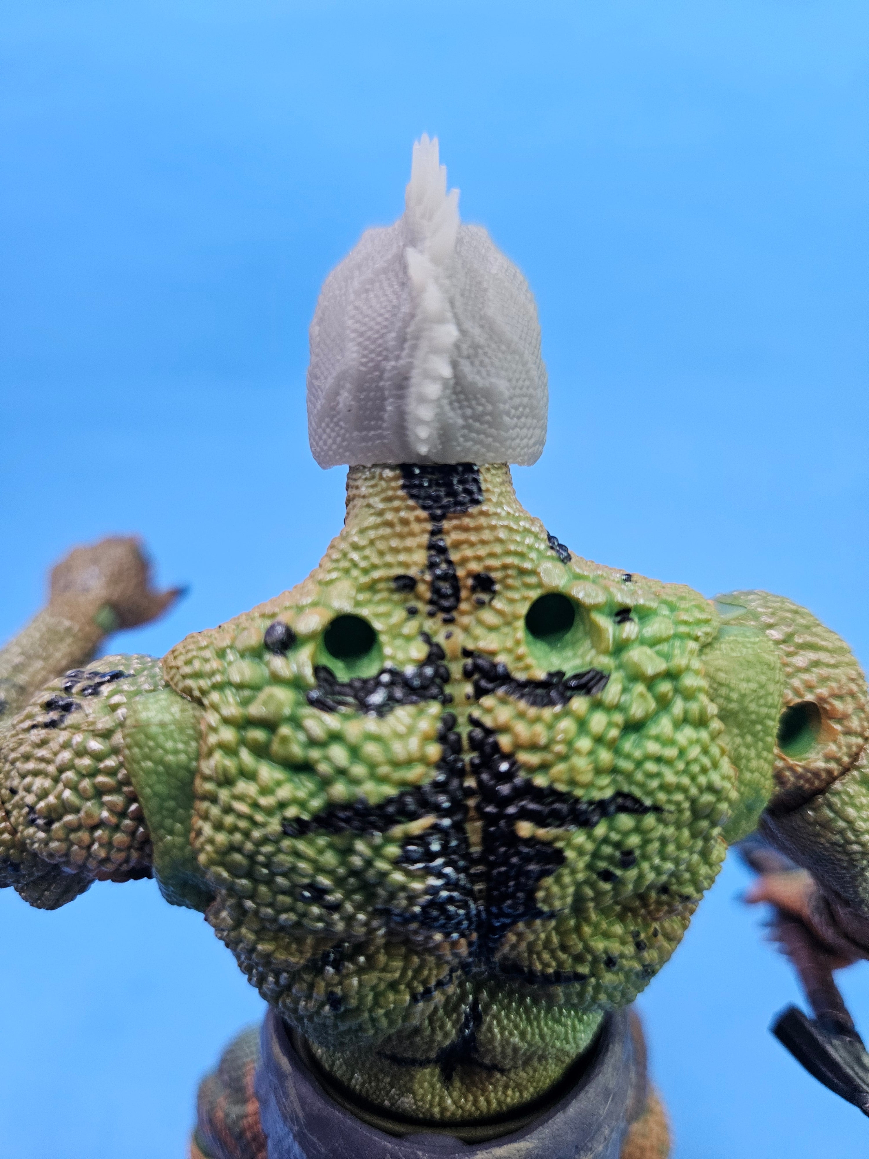 Philippine Sailfin Lizard Head