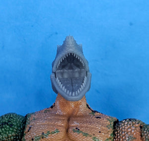 Philippine Sailfin Lizard Head