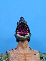 Load image into Gallery viewer, Philippine Sailfin Lizard Head
