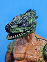 Load image into Gallery viewer, Philippine Sailfin Lizard Head
