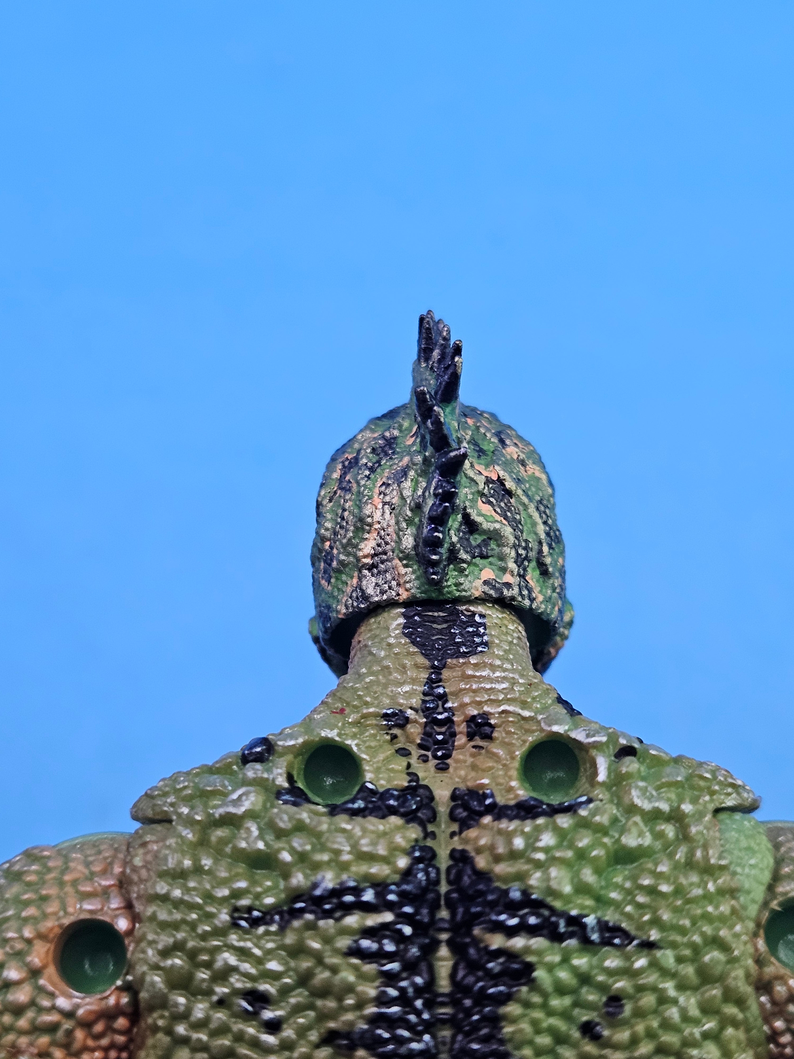 Philippine Sailfin Lizard Head