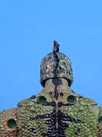 Load image into Gallery viewer, Philippine Sailfin Lizard Head
