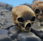 Load image into Gallery viewer, Demon/Monster Skull Dungeon Stand Peg 5 Pack
