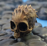 Load image into Gallery viewer, Demon/Monster Skull Dungeon Stand Peg 5 Pack
