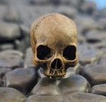 Load image into Gallery viewer, Human Skulls Dungeon Stand Pegs 5 Pack
