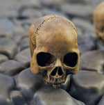 Load image into Gallery viewer, Human Skulls Dungeon Stand Pegs 5 Pack
