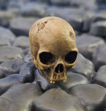 Load image into Gallery viewer, Human Skulls Dungeon Stand Pegs 5 Pack
