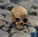 Load image into Gallery viewer, Human Skulls Dungeon Stand Pegs 5 Pack
