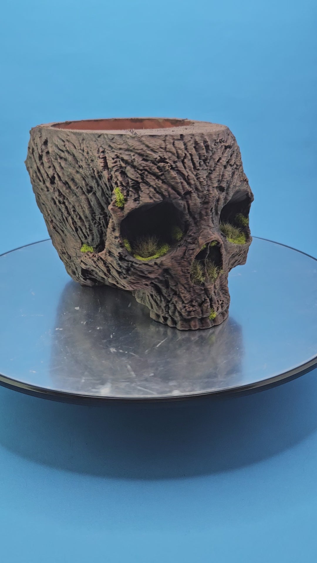 4 Inch Bark Skull Pot Holder Painted